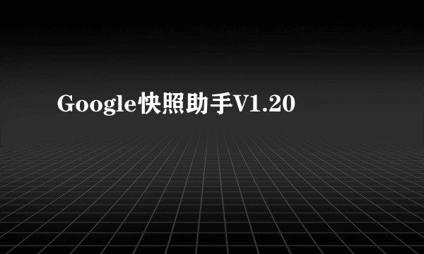 Google快照助手V1.20