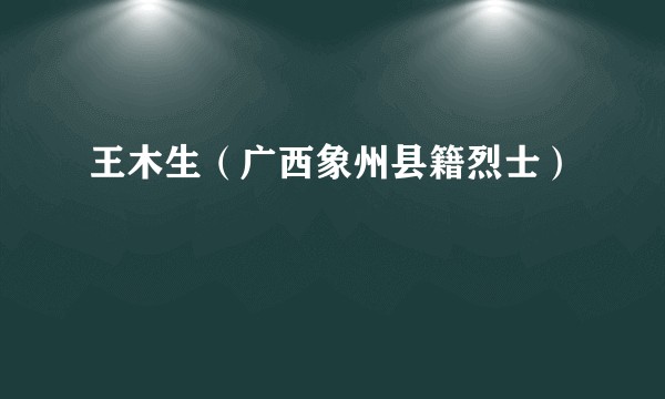 王木生（广西象州县籍烈士）