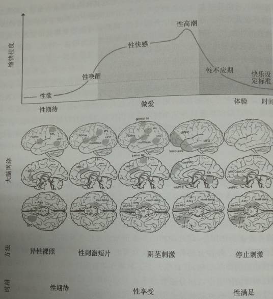 做爱网络
