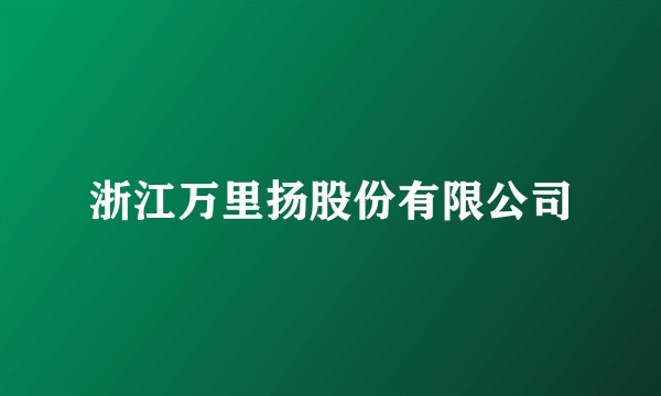 浙江万里扬股份有限公司