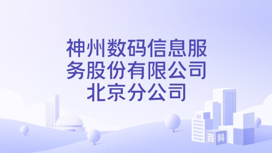 神州数码信息服务股份有限公司北京分公司