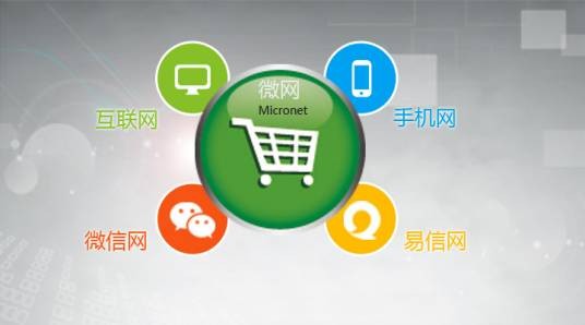 微网（微网网络）