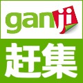 赶集宠物网