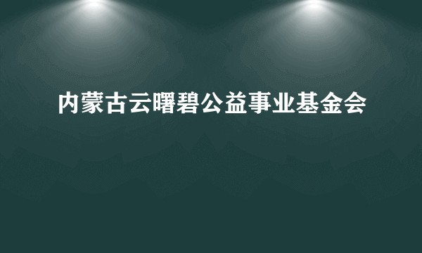 内蒙古云曙碧公益事业基金会