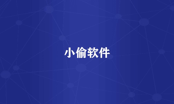 小偷软件