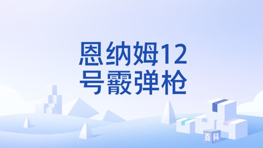 恩纳姆12号霰弹枪