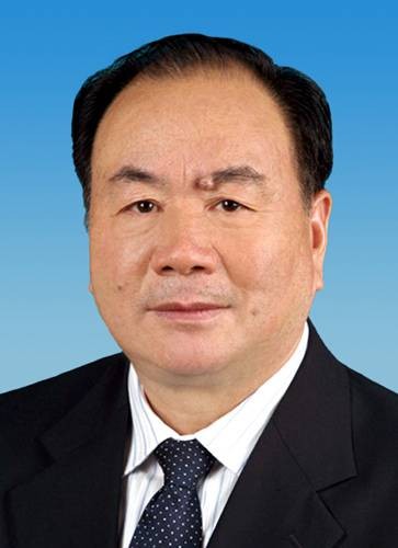 王乐泉（第十七届中央政治局委员，中国法学会原会长）