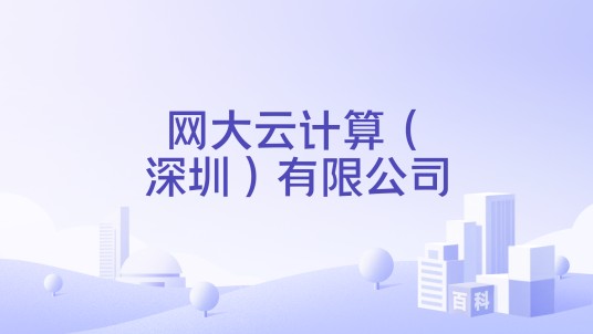网大云计算（深圳）有限公司