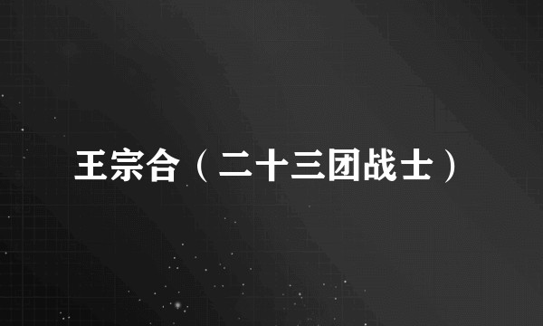 王宗合（二十三团战士）