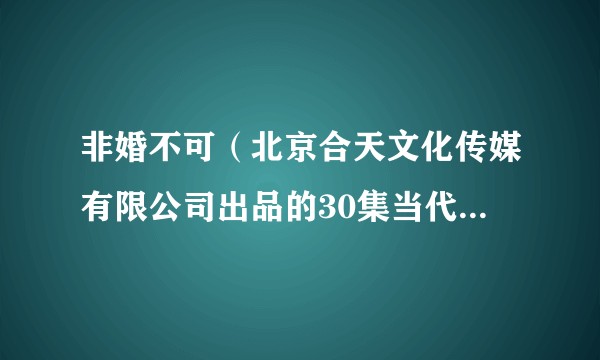 非婚不可（北京合天文化传媒有限公司出品的30集当代都市电视剧）