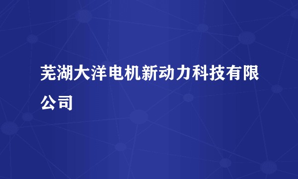芜湖大洋电机新动力科技有限公司