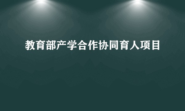 教育部产学合作协同育人项目