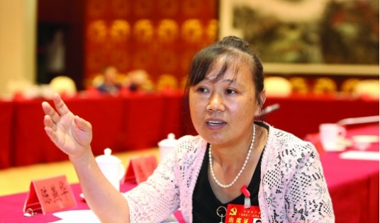 陈燕华(党十九大代表)