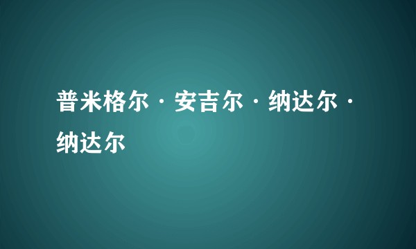 普米格尔·安吉尔·纳达尔·纳达尔