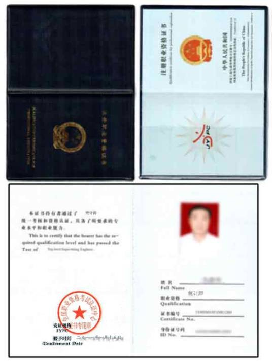 高级统计师