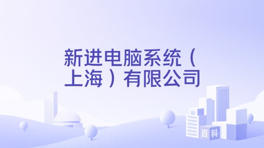 新进电脑系统（上海）有限公司