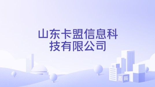 山东卡盟信息科技有限公司