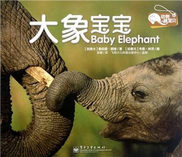 动物萌宝贝:大象宝宝