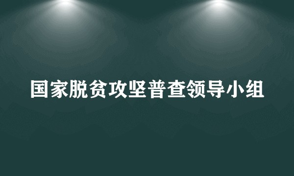 国家脱贫攻坚普查领导小组