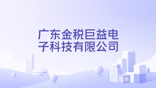 广东金税巨益电子科技有限公司