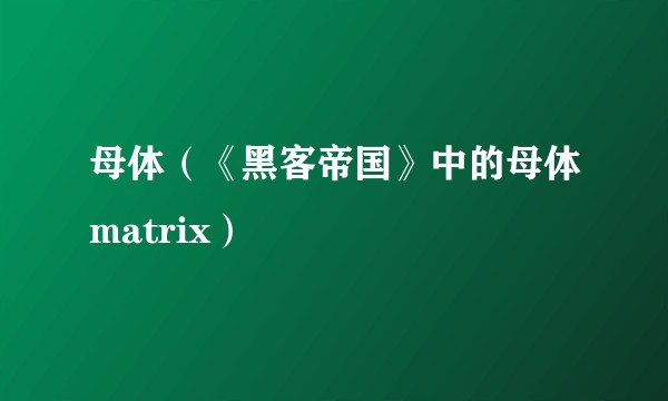 母体(《黑客帝国》中的母体matrix)