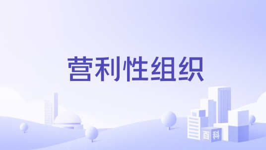 营利性组织