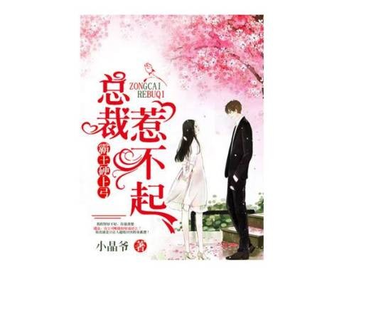 霸王硬上弓：总裁惹不起