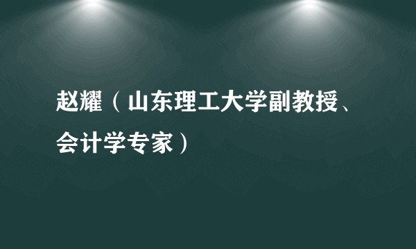 赵耀(山东理工大学副教授、会计学专家)