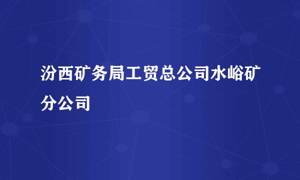 汾西矿务局工贸总公司水峪矿分公司