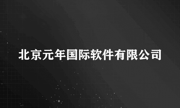 北京元年国际软件有限公司