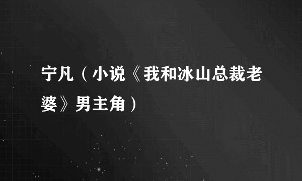 宁凡（小说《我和冰山总裁老婆》男主角）