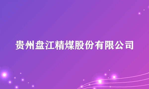贵州盘江精煤股份有限公司