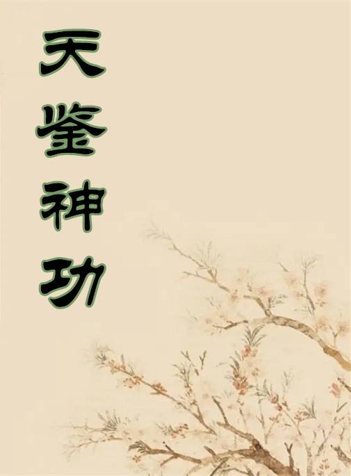天鉴神功