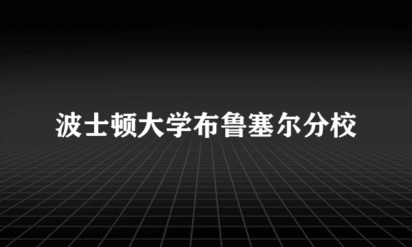 波士顿大学布鲁塞尔分校