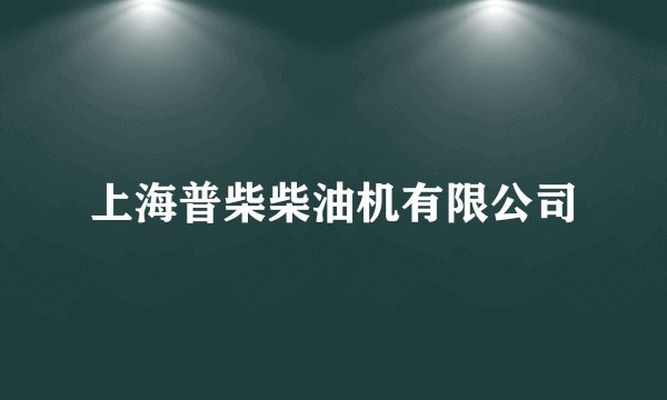 上海普柴柴油机有限公司