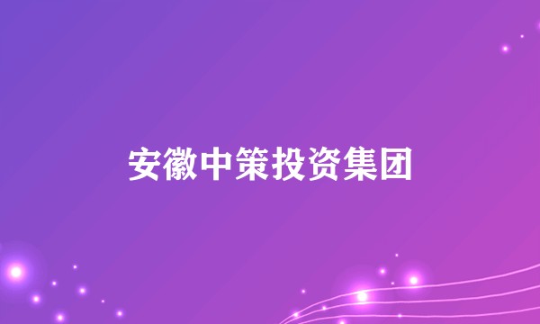 安徽中策投资集团