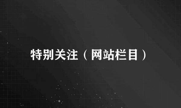 特别关注（网站栏目）