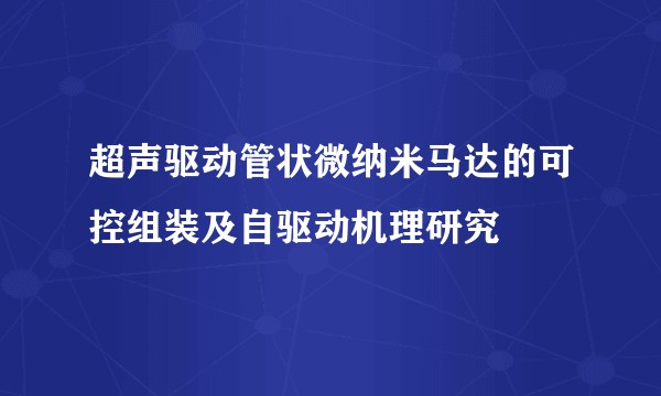 超声驱动管状微纳米马达的可控组装及自驱动机理研究