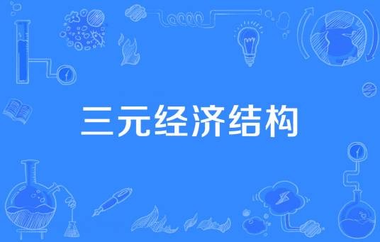三元经济结构