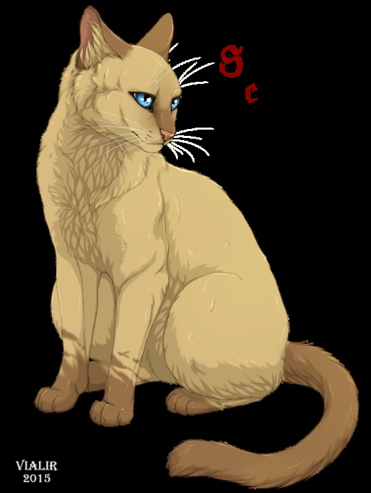 莎夏(文学小说《猫武士》中的角色)