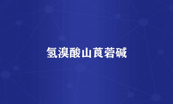 氢溴酸山莨菪碱