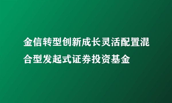 金信转型创新成长灵活配置混合型发起式证券投资基金