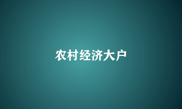 农村经济大户