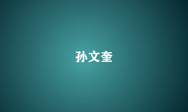 孙文奎