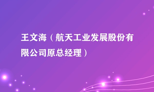 王文海（航天工业发展股份有限公司原总经理）