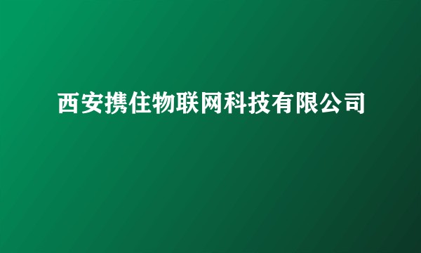 西安携住物联网科技有限公司