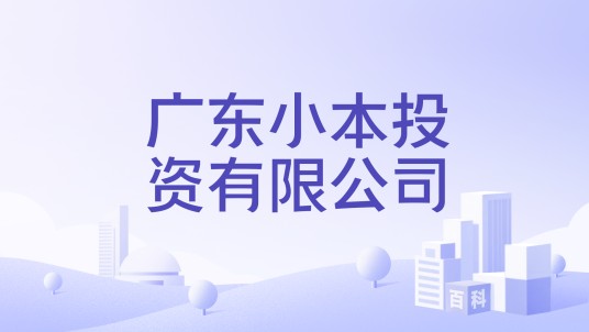 广东小本投资有限公司