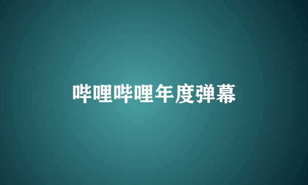 哔哩哔哩年度弹幕