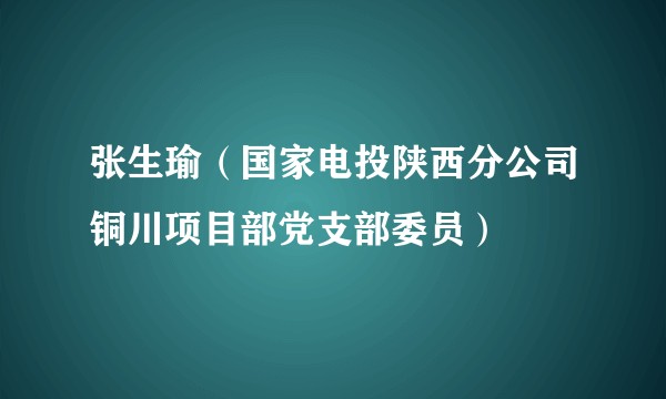 张生瑜（国家电投陕西分公司铜川项目部党支部委员）