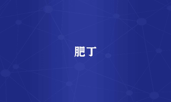 肥丁